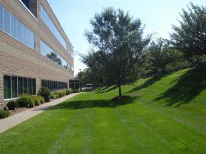 Industrial and Corporate Lawn Care Services in Boston